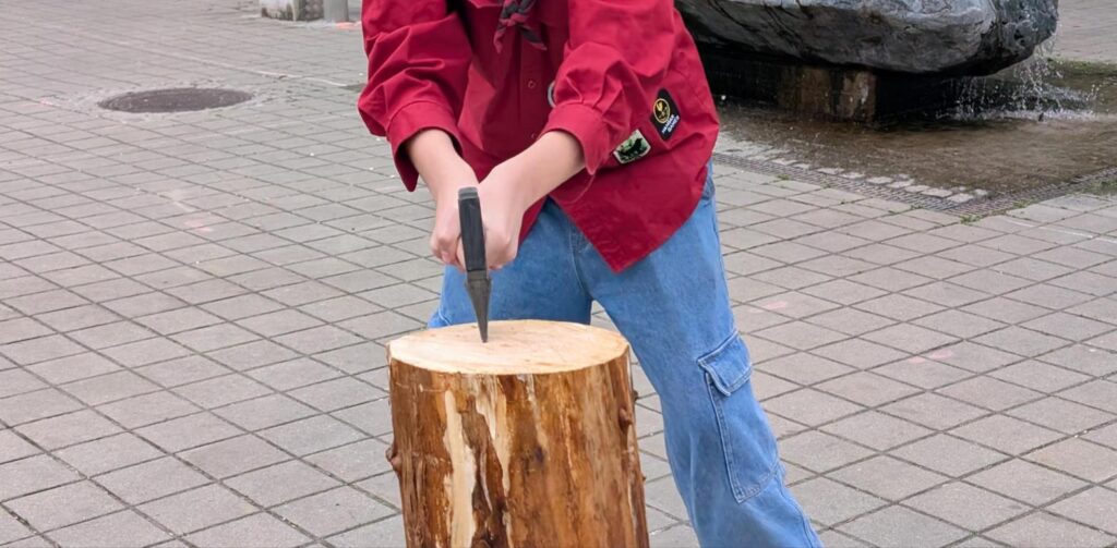 Holzspalten am Hackstock