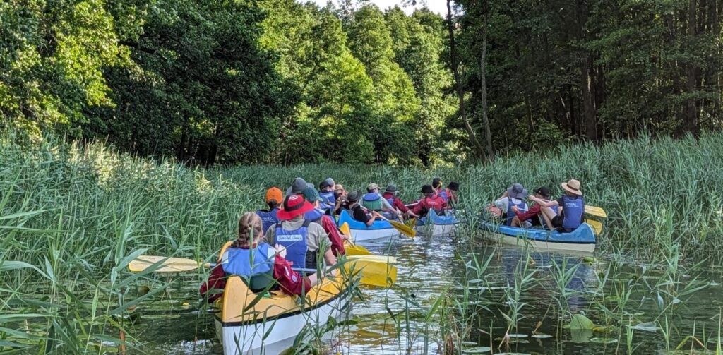 Kanus im Schilf auf der Krutynia, Sommerlager 2026